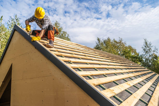 Roof Gutter Cleaning in Citrus, CA
